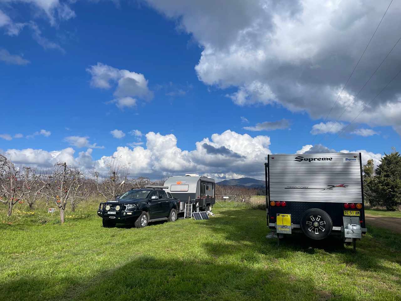 Hillside Harvest Orchard