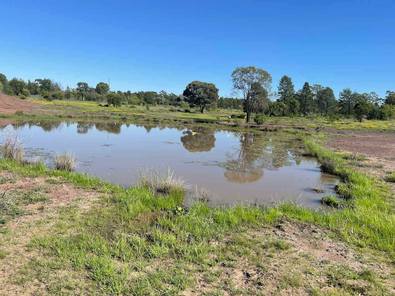 Gari Yala Culture and Bush Camp