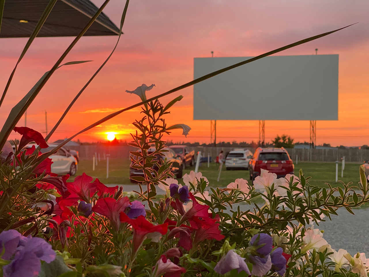 Bay Drive-In