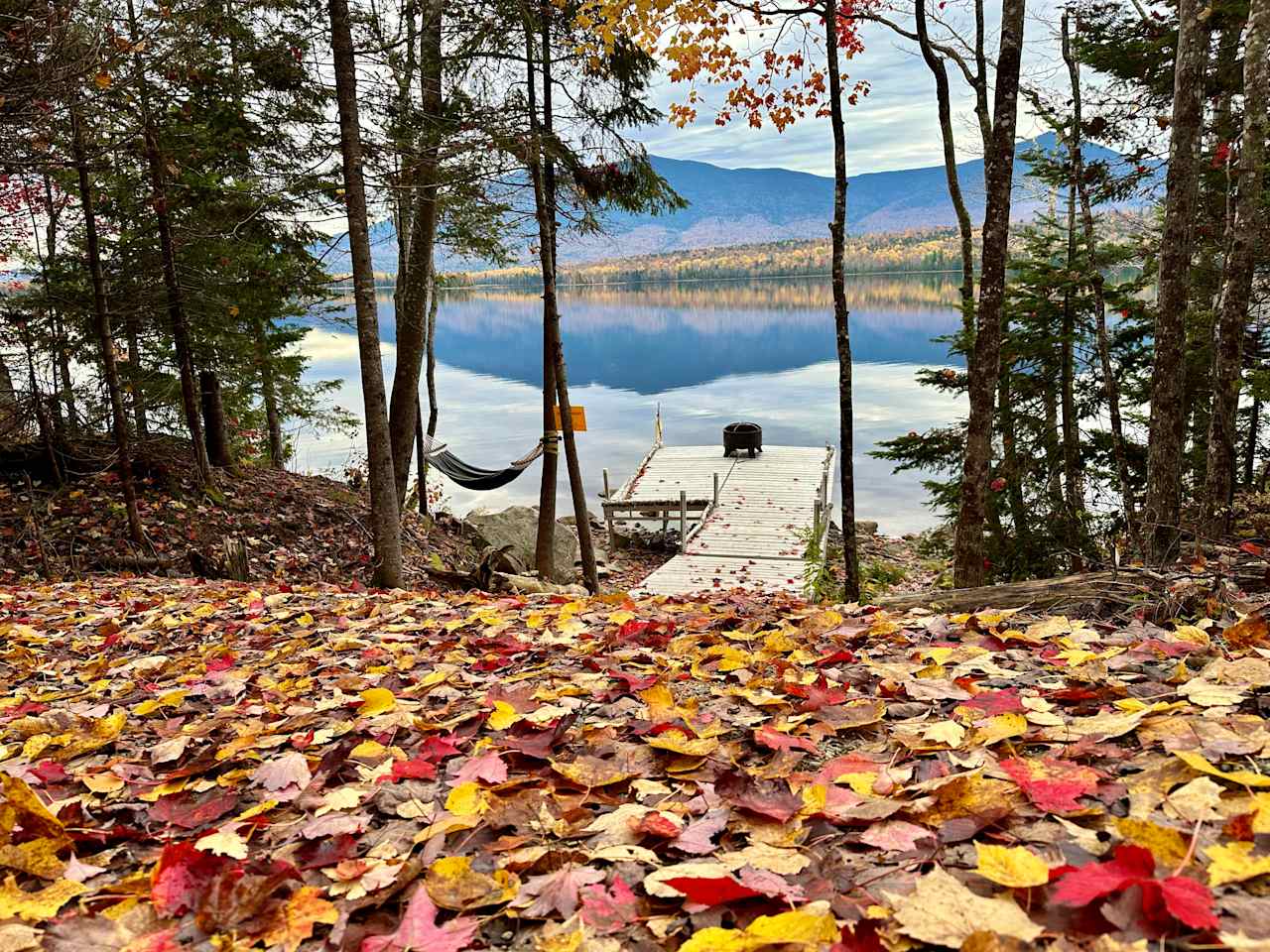 spectacular fall foliage