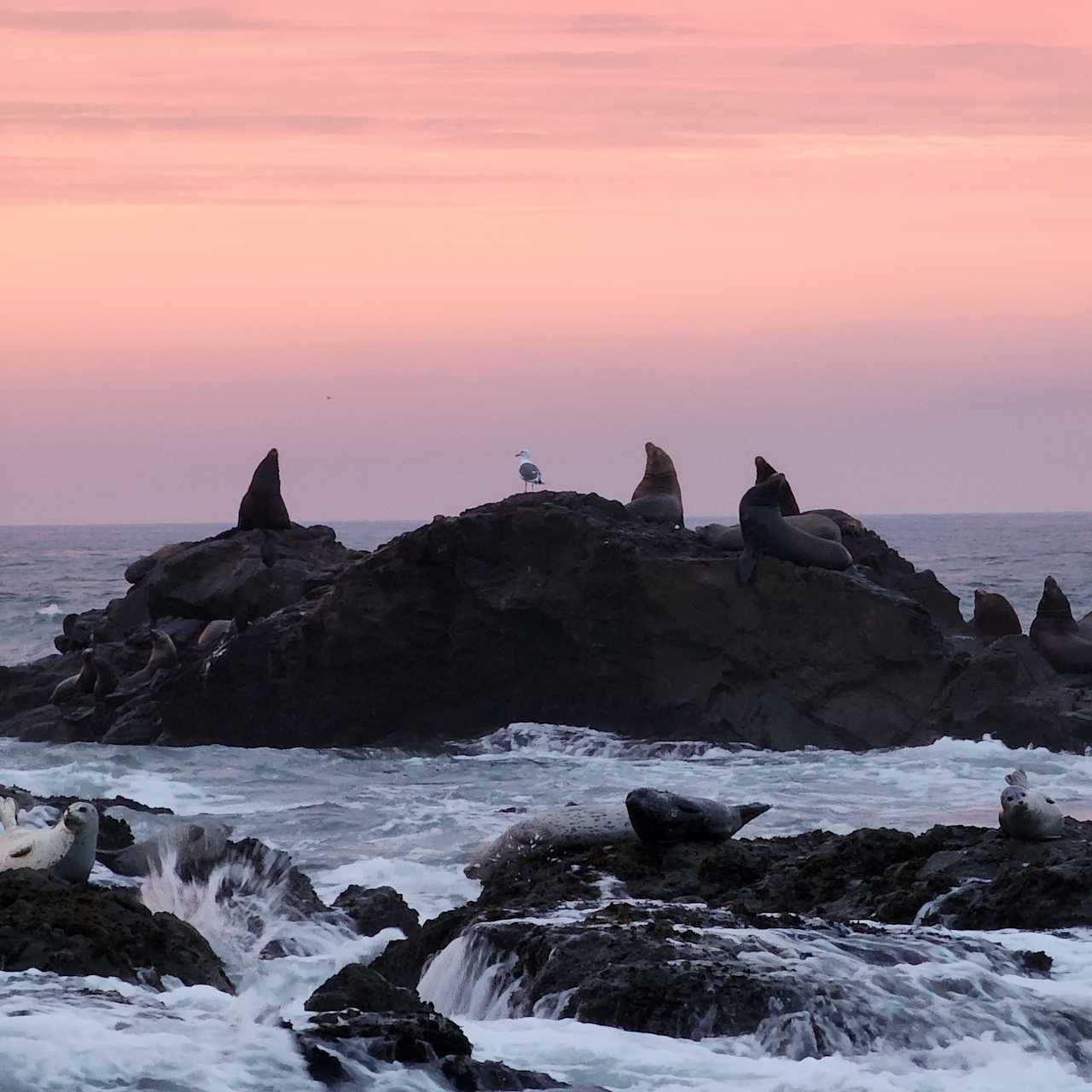 Shelter Cove Campground