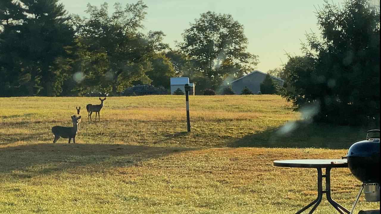 Deer Run Retreat