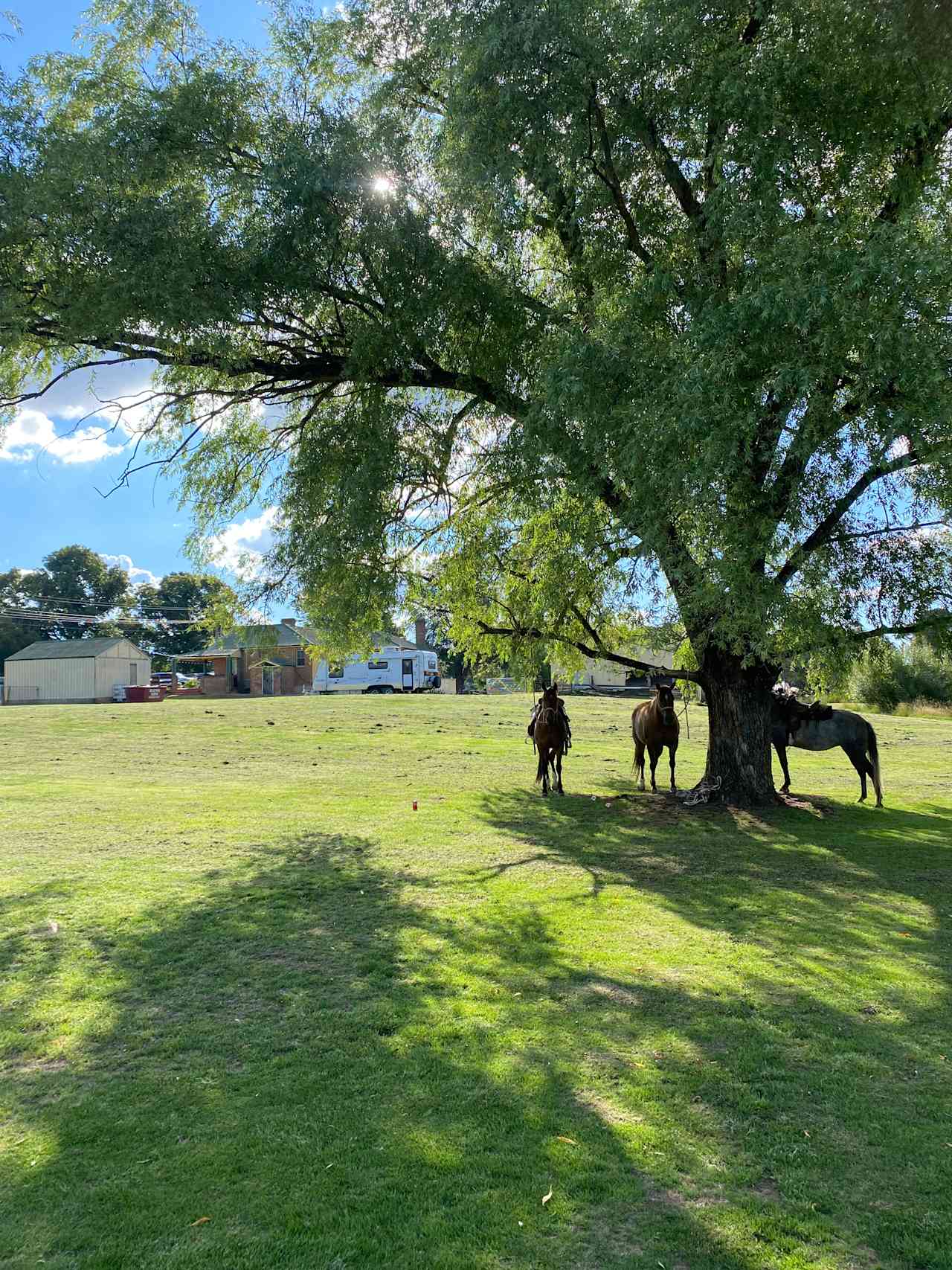 The Neville Hotel Grounds