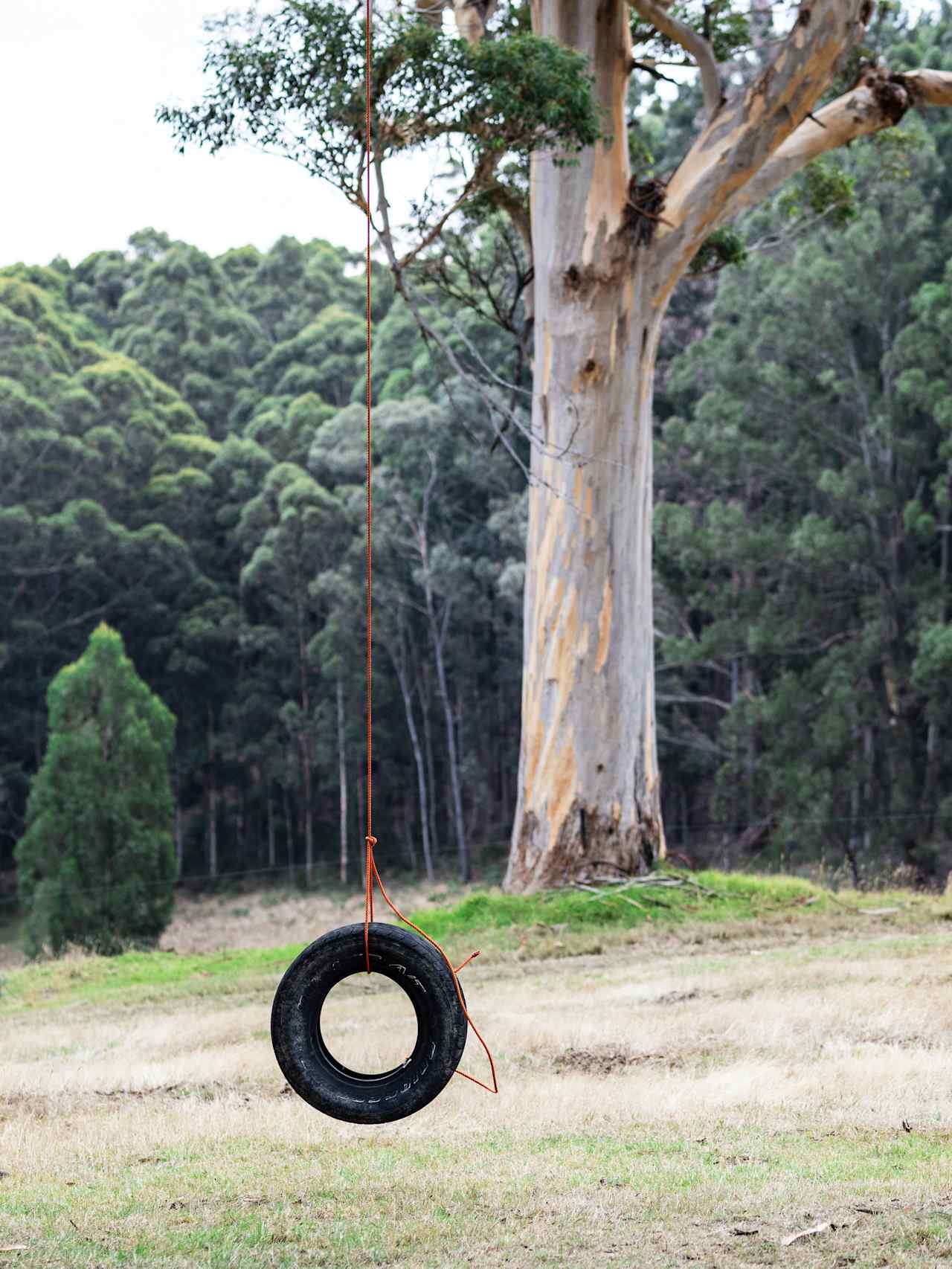 The rope swing at our hilltop site