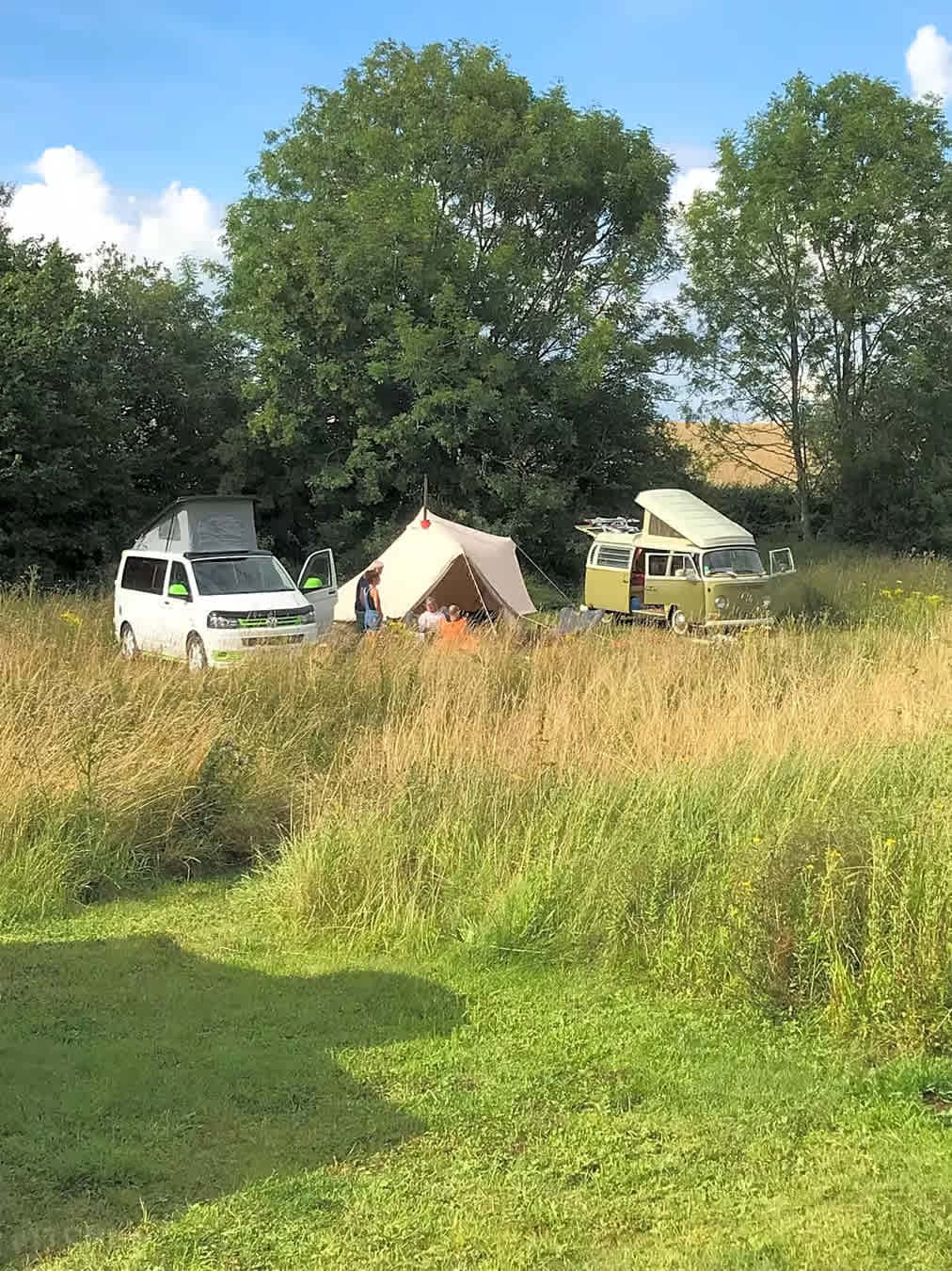 Barn Owl Camping