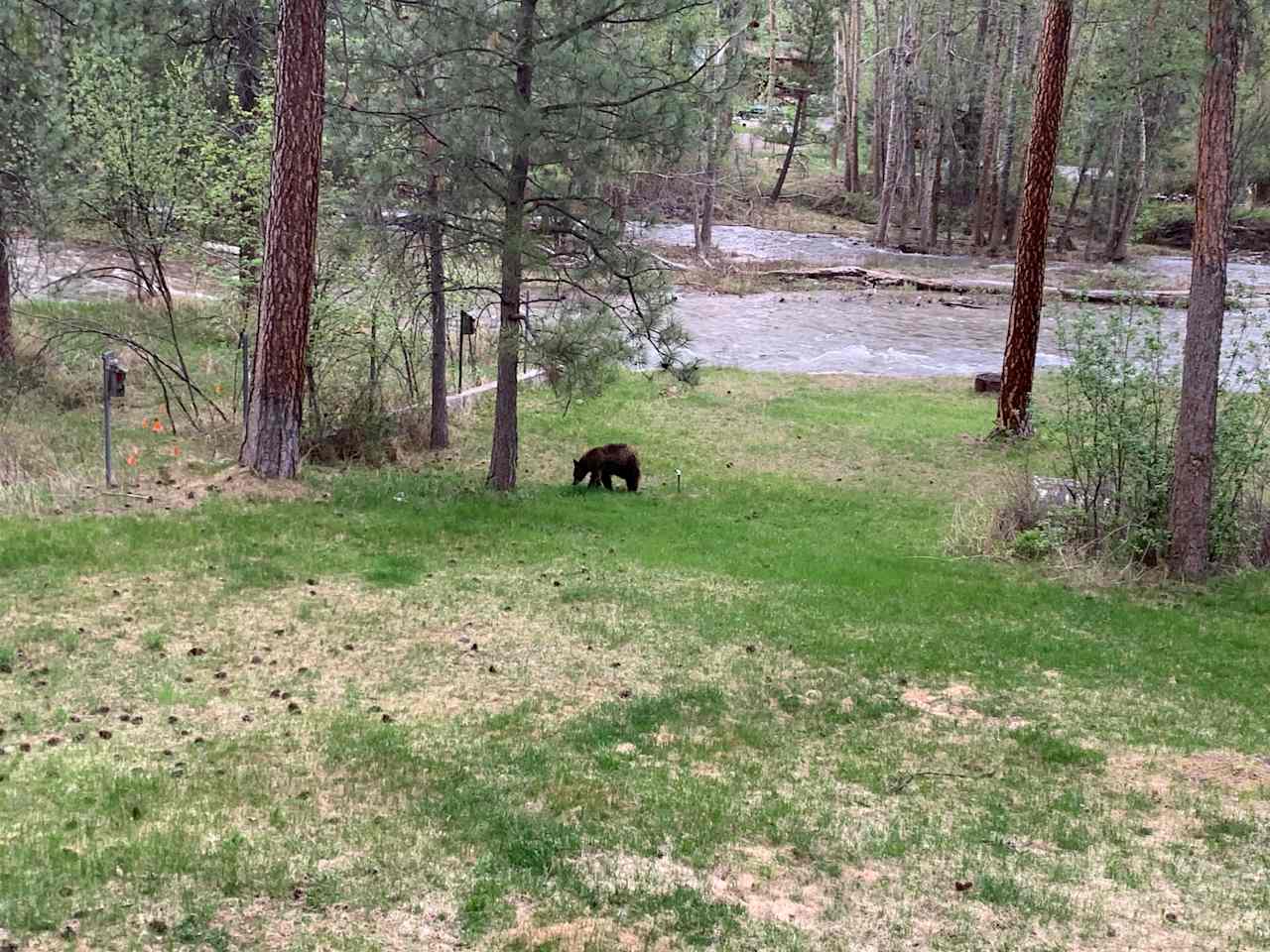 Edge Of Missoula, Rattlesnake Creek