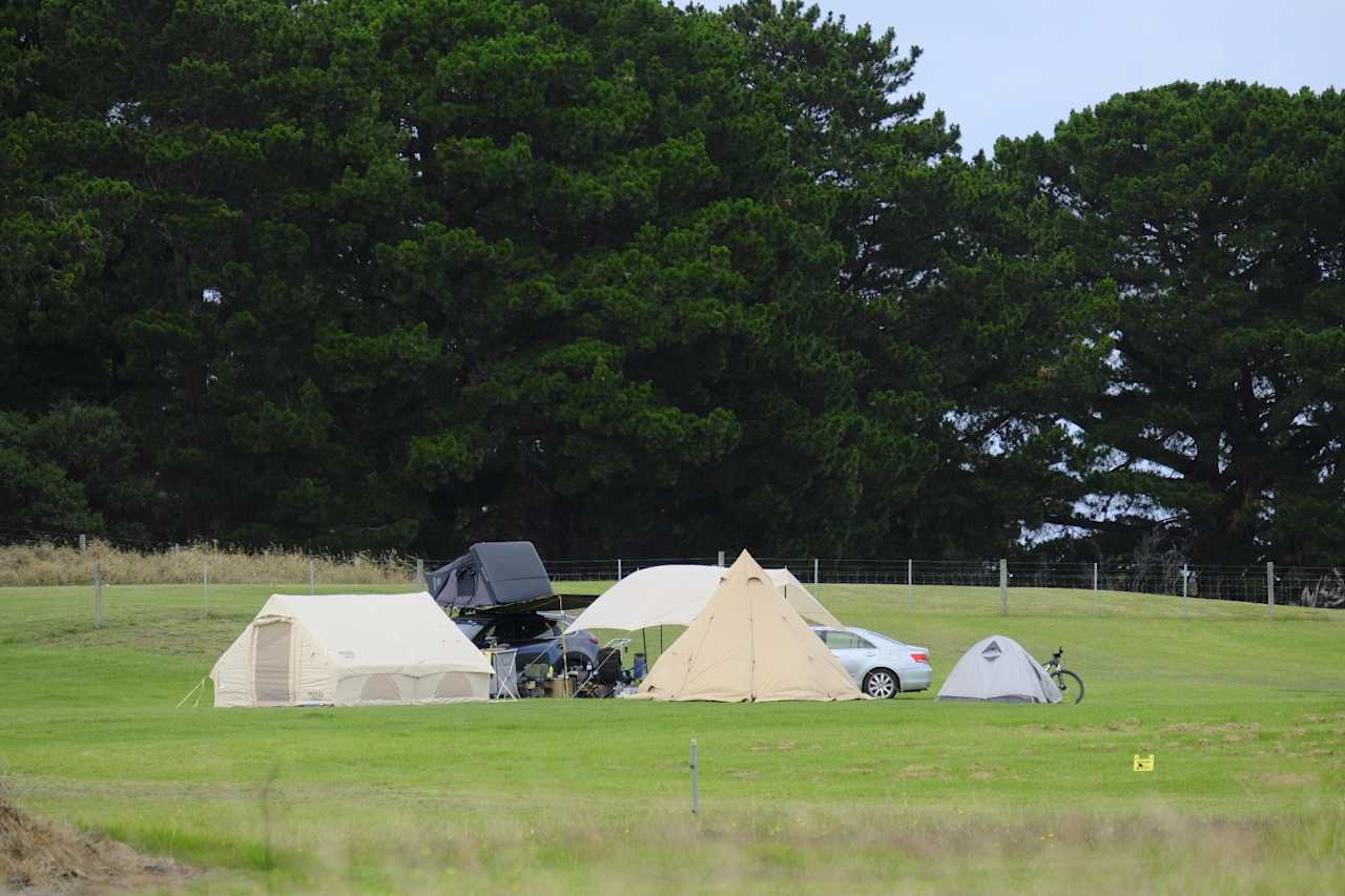 Shacks at Kardella Park