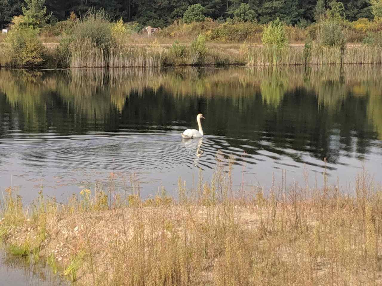 Souza Cranberry Waterfront Campsite