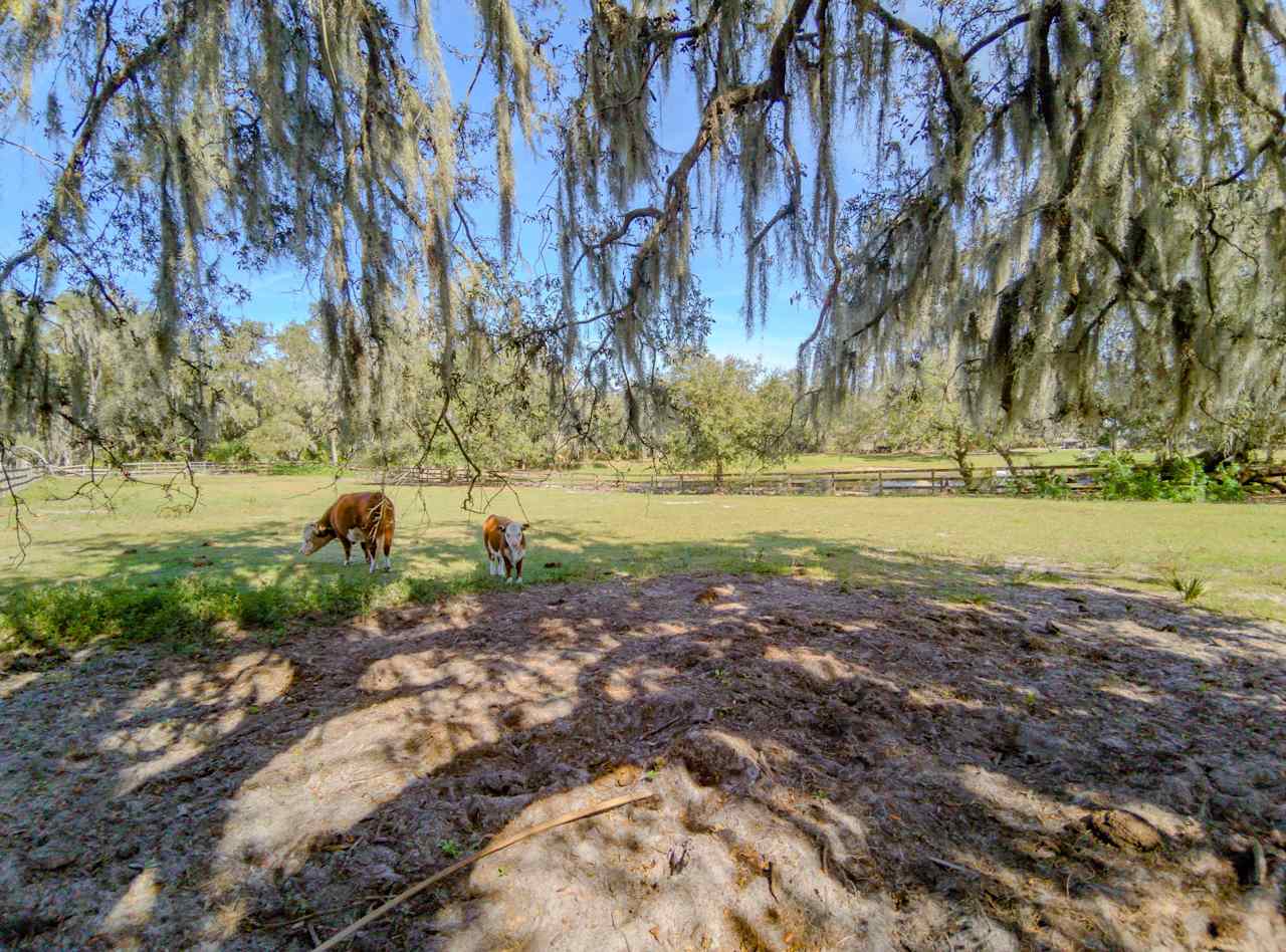 Owen's Family Farm