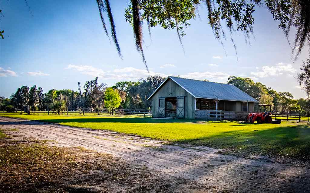 Owen's Family Farm