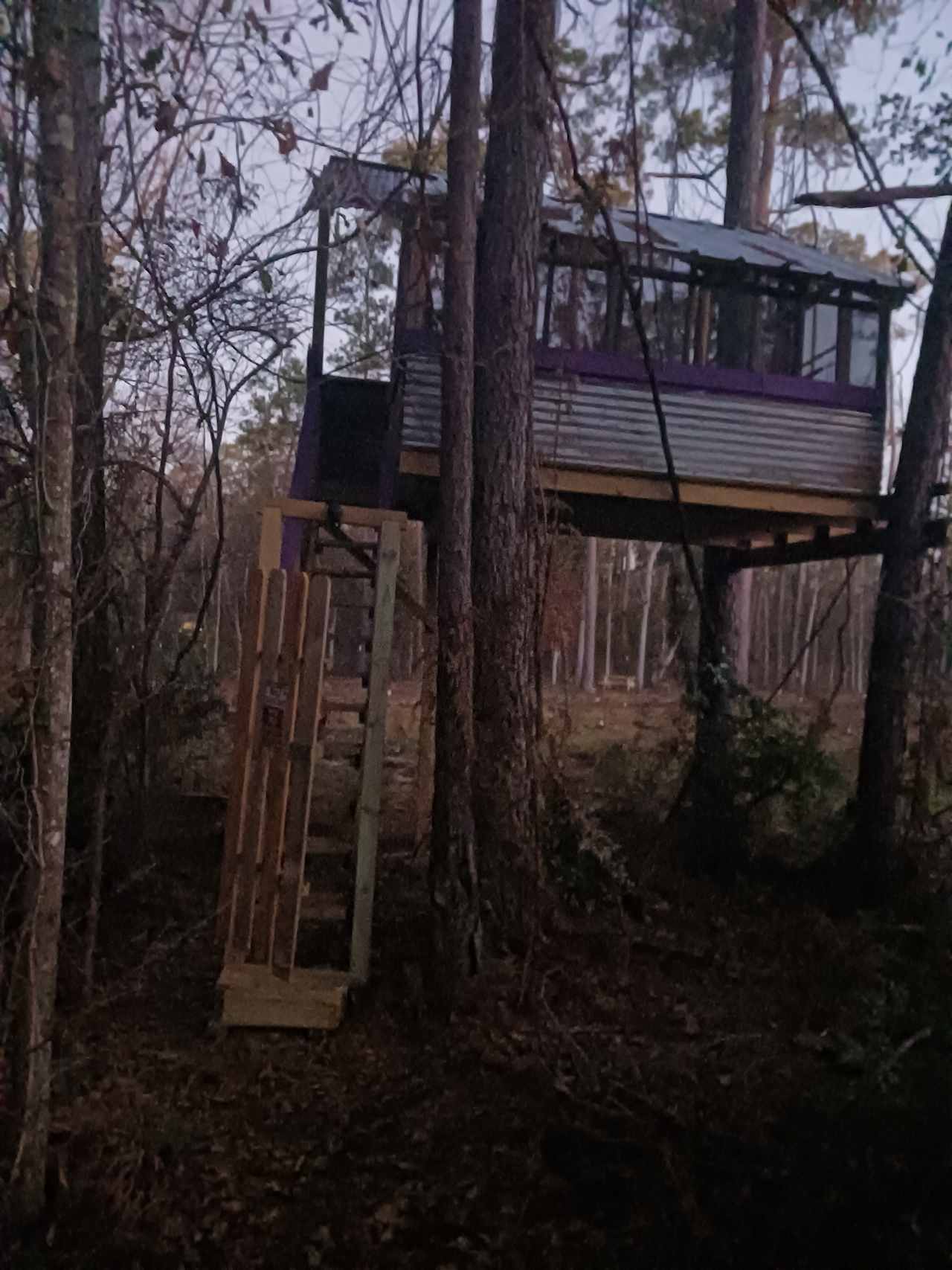 The Treehouse