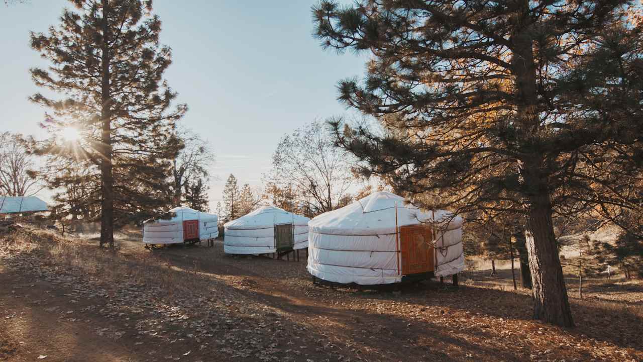 Sequoia Highland Camp