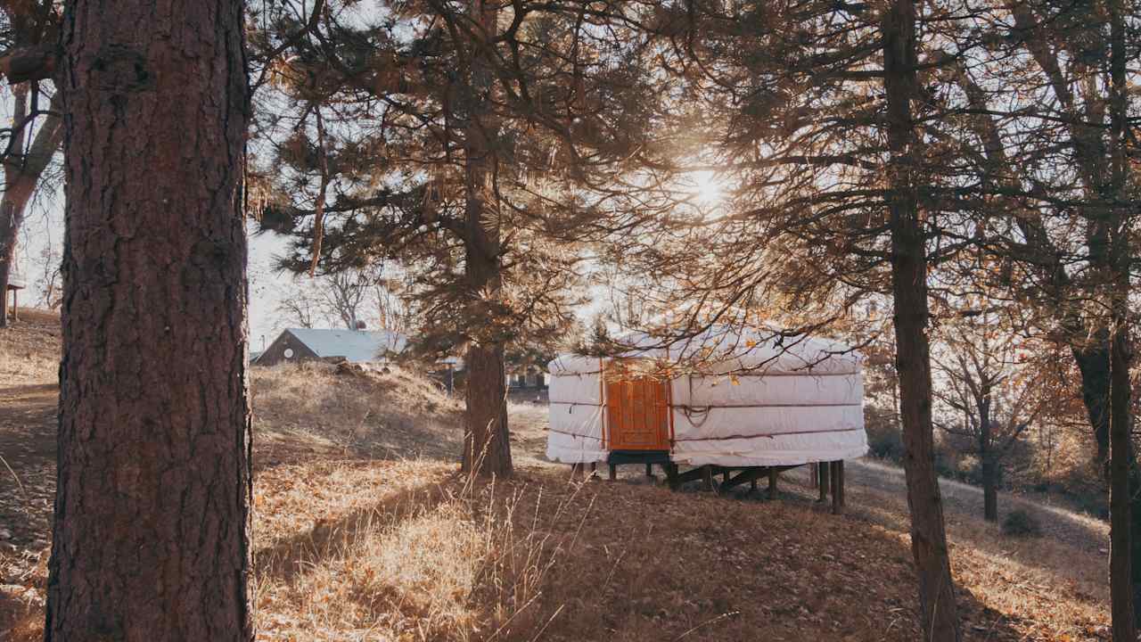 Sequoia Highland Camp