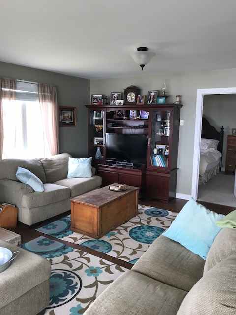 Entertainment center with smart tv, dvd player, and massive dvd collection