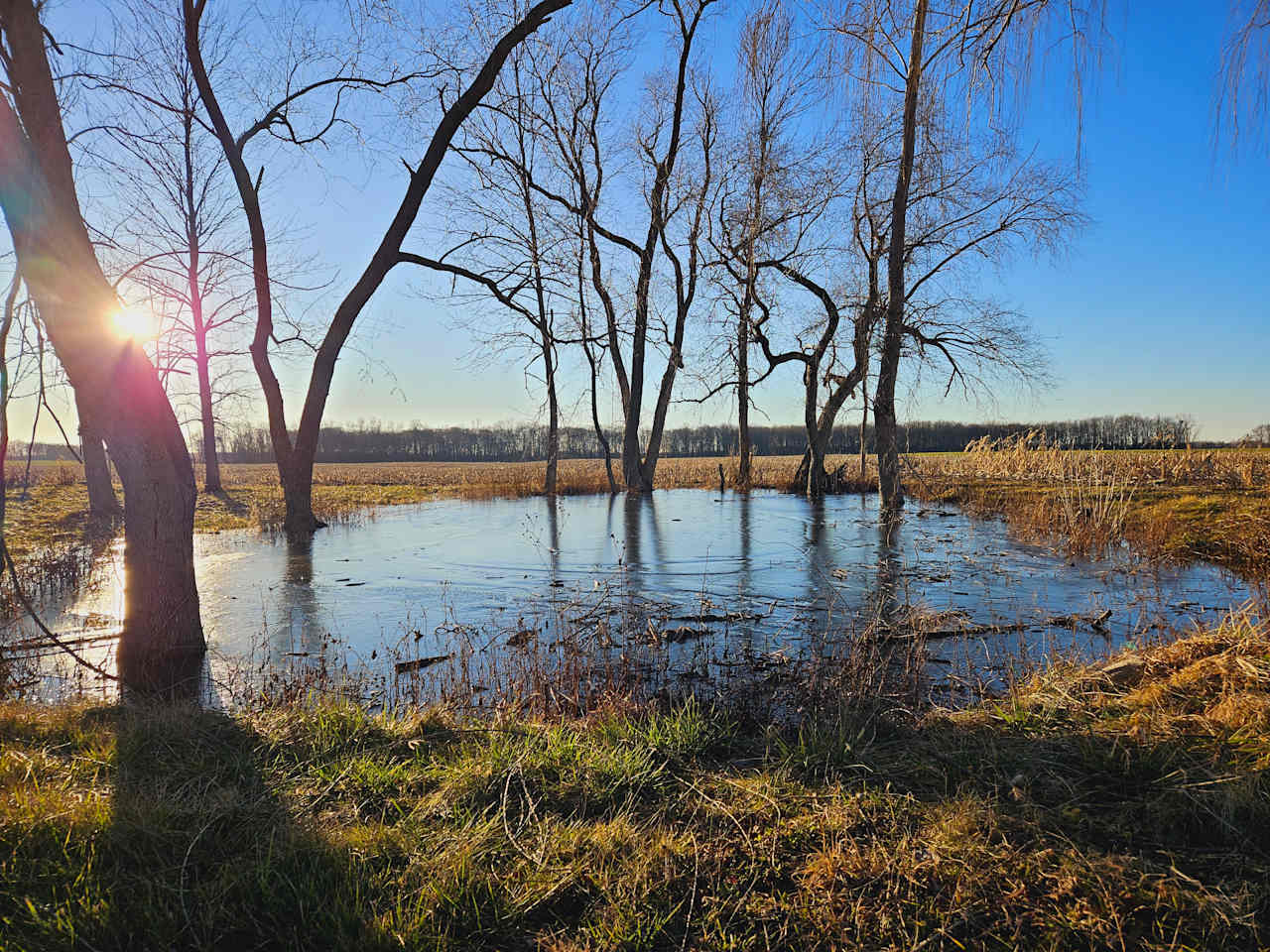 Ontario Vista On The Countryside