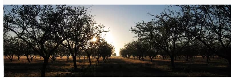 Aintree Farm Organics