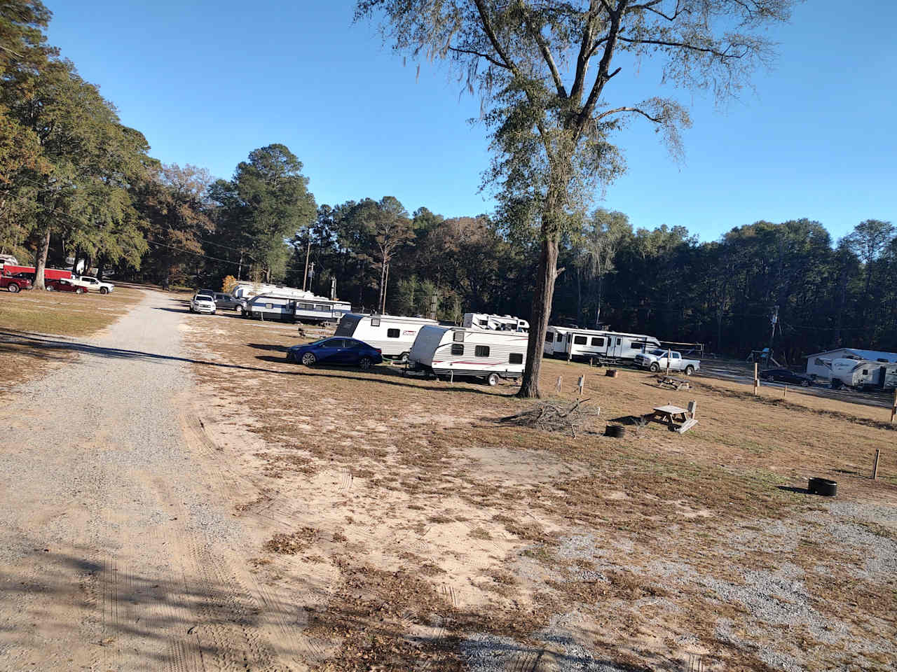 Coleman Lake Campground