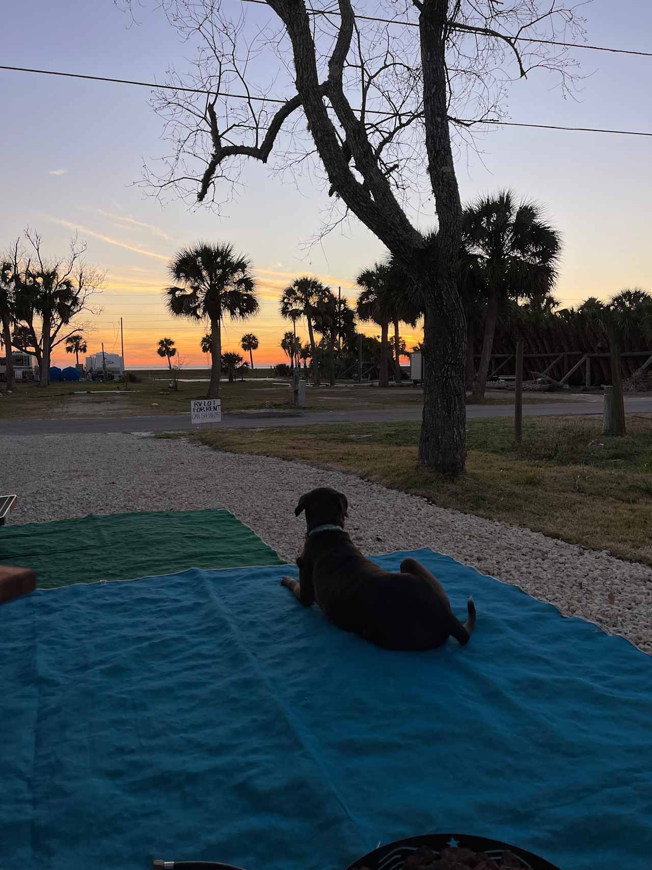 Strayer's Bay Side Hangout