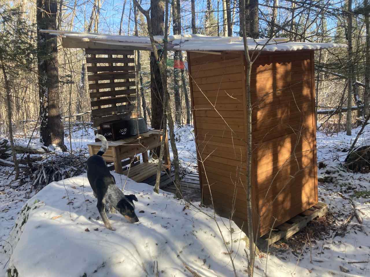 Our Blue Heeler hound mix pup named Buddy.  Please let us know if you prefer to not encounter our dogs during your stay. They are leash trained.