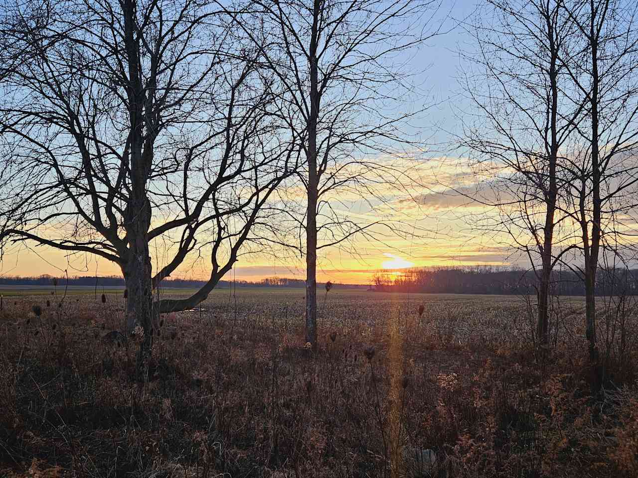 Ontario Vista On The Countryside