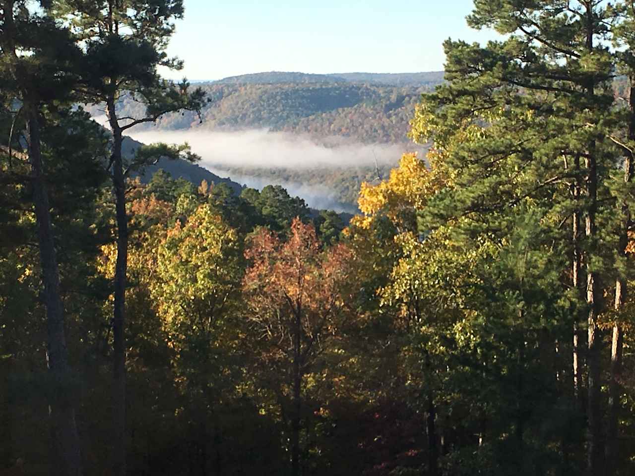 Harper Bluff & Numu Coffee Roastery