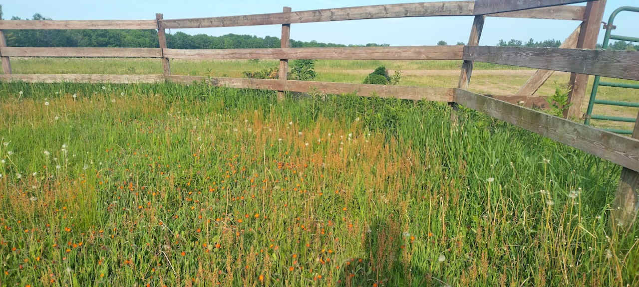 Sears Farm of Minnesota