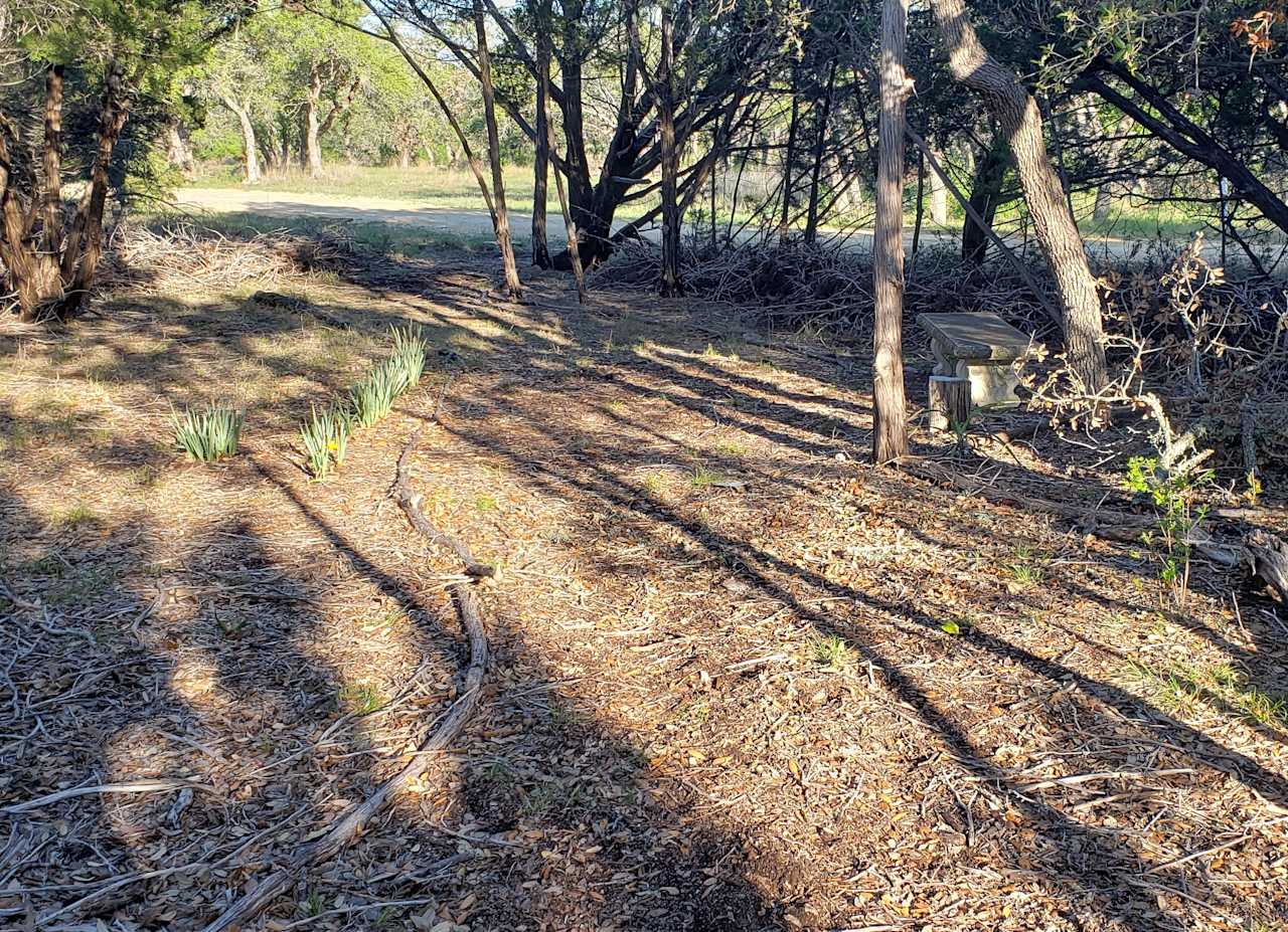 Walking path with a bench in the shade