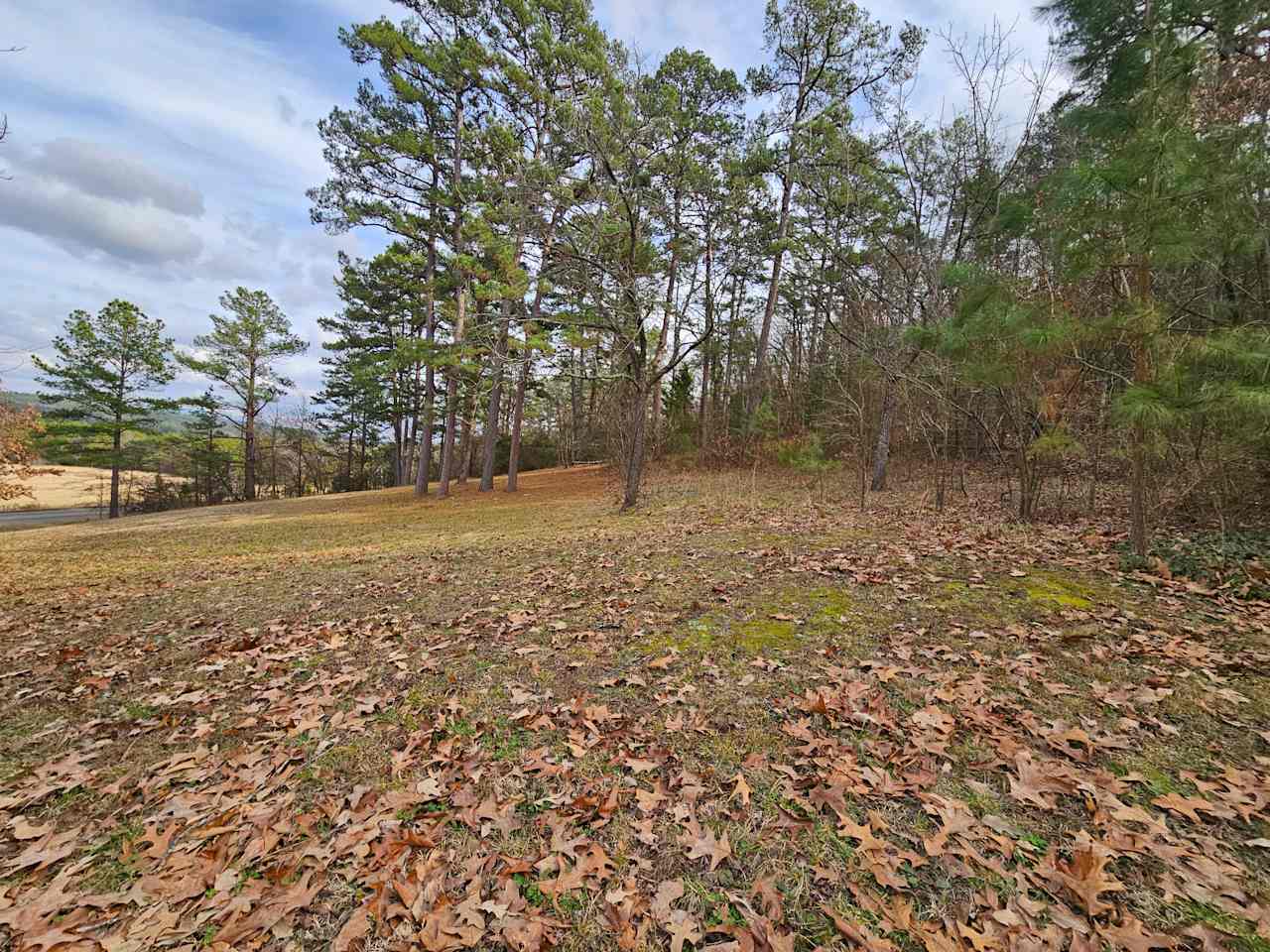 Jack Creek Mountain Retreat