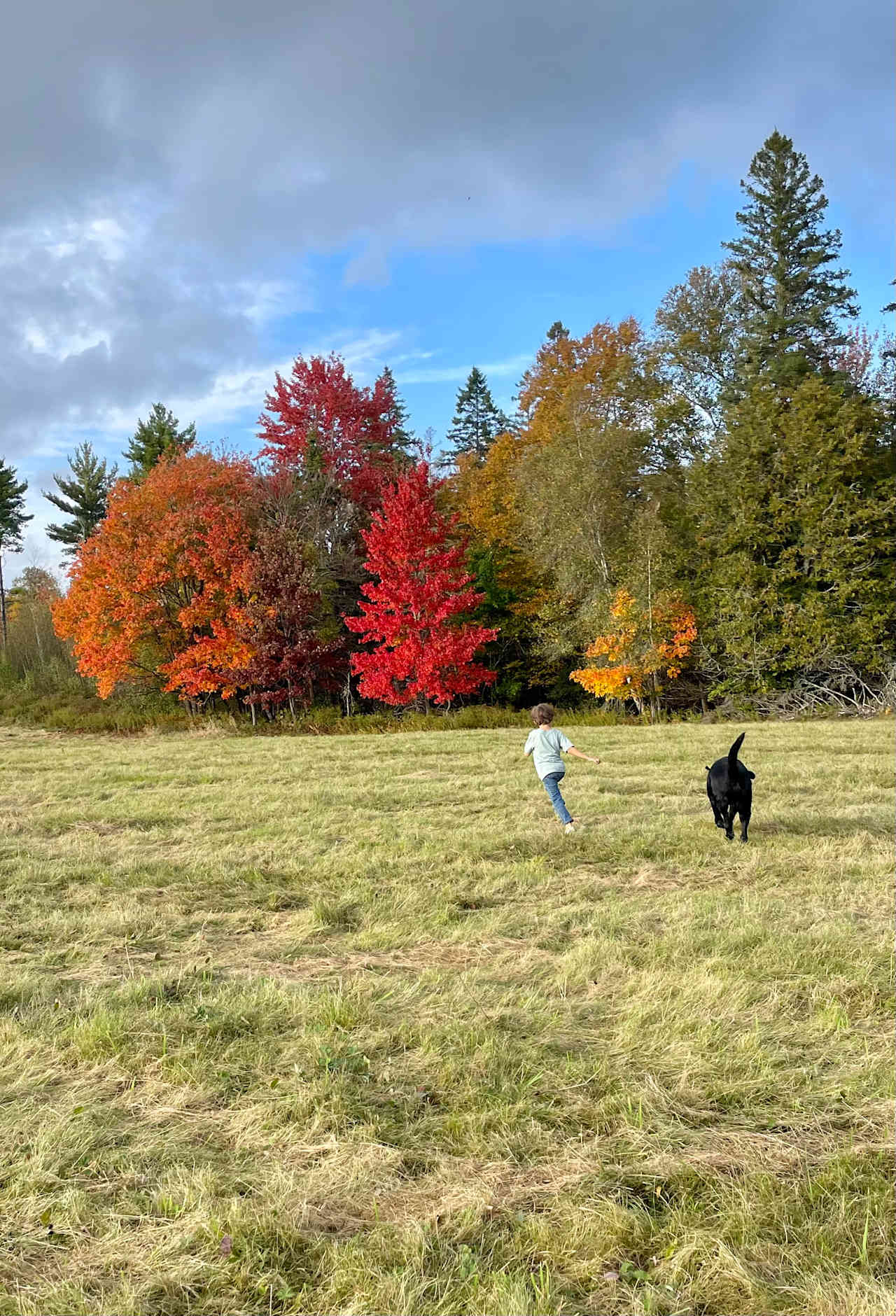 Camping at Serenity Farms