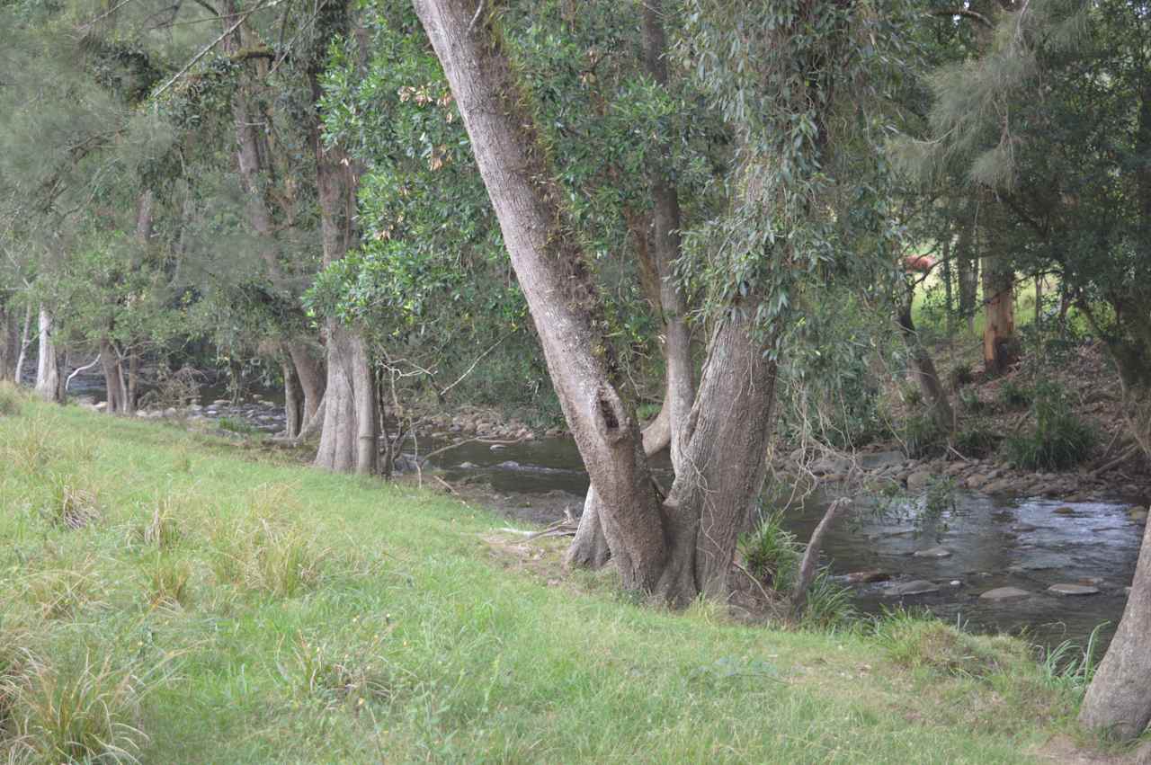River Front Campsites