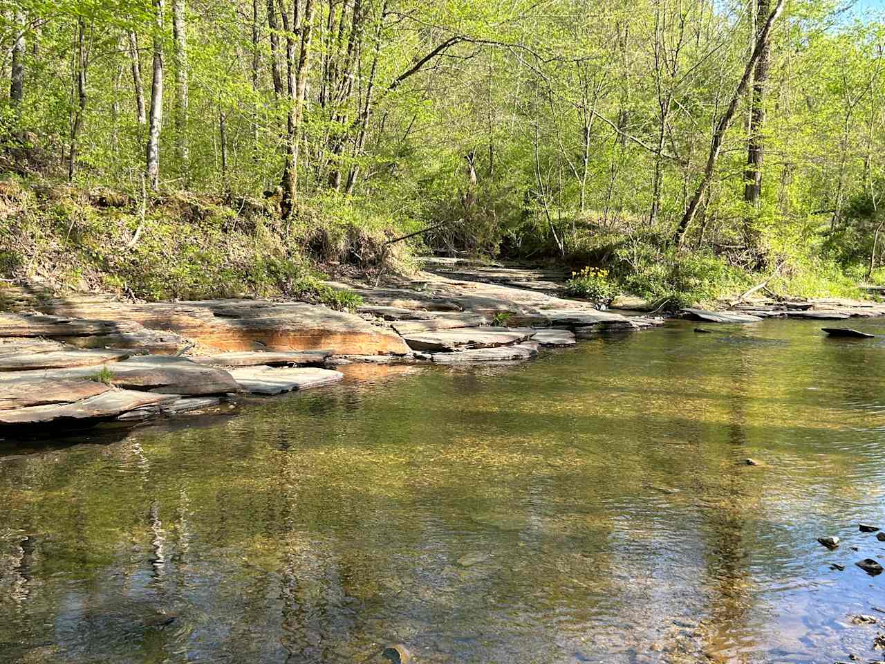 Long Hungry Creek Camping