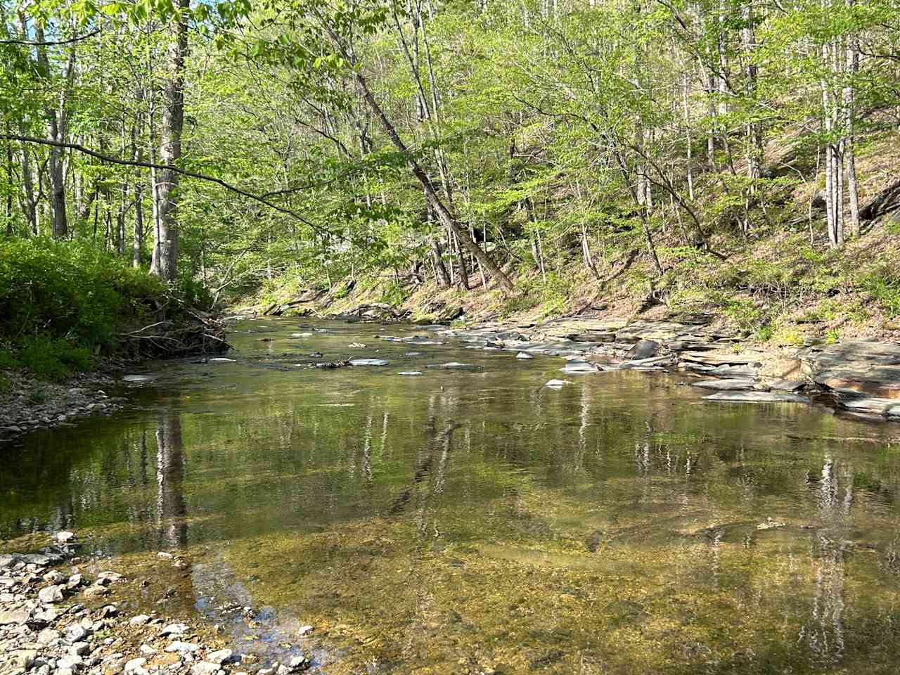 Long Hungry Creek Camping