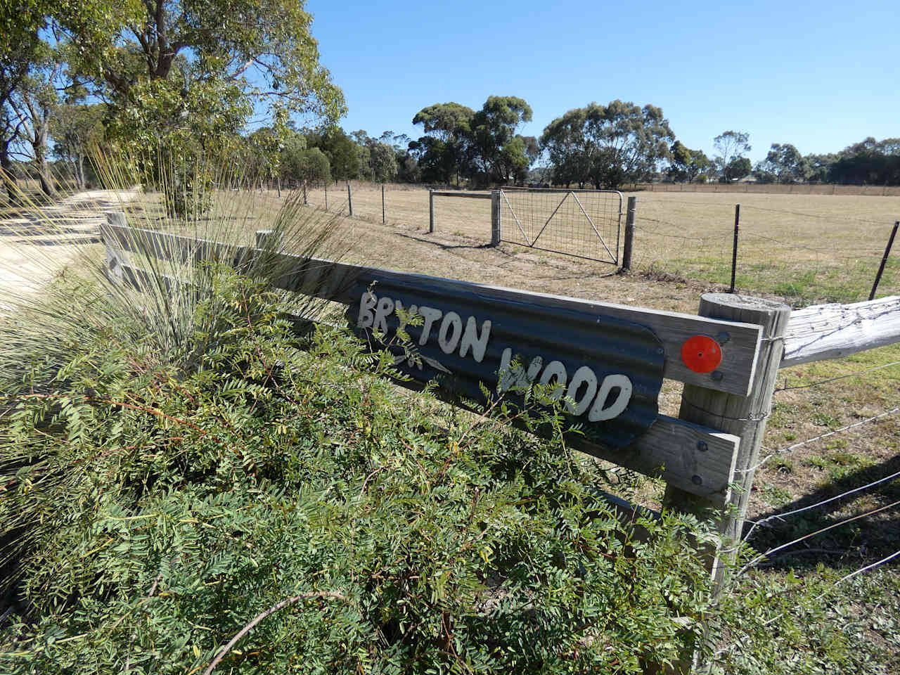 Bryton Wood Campsite