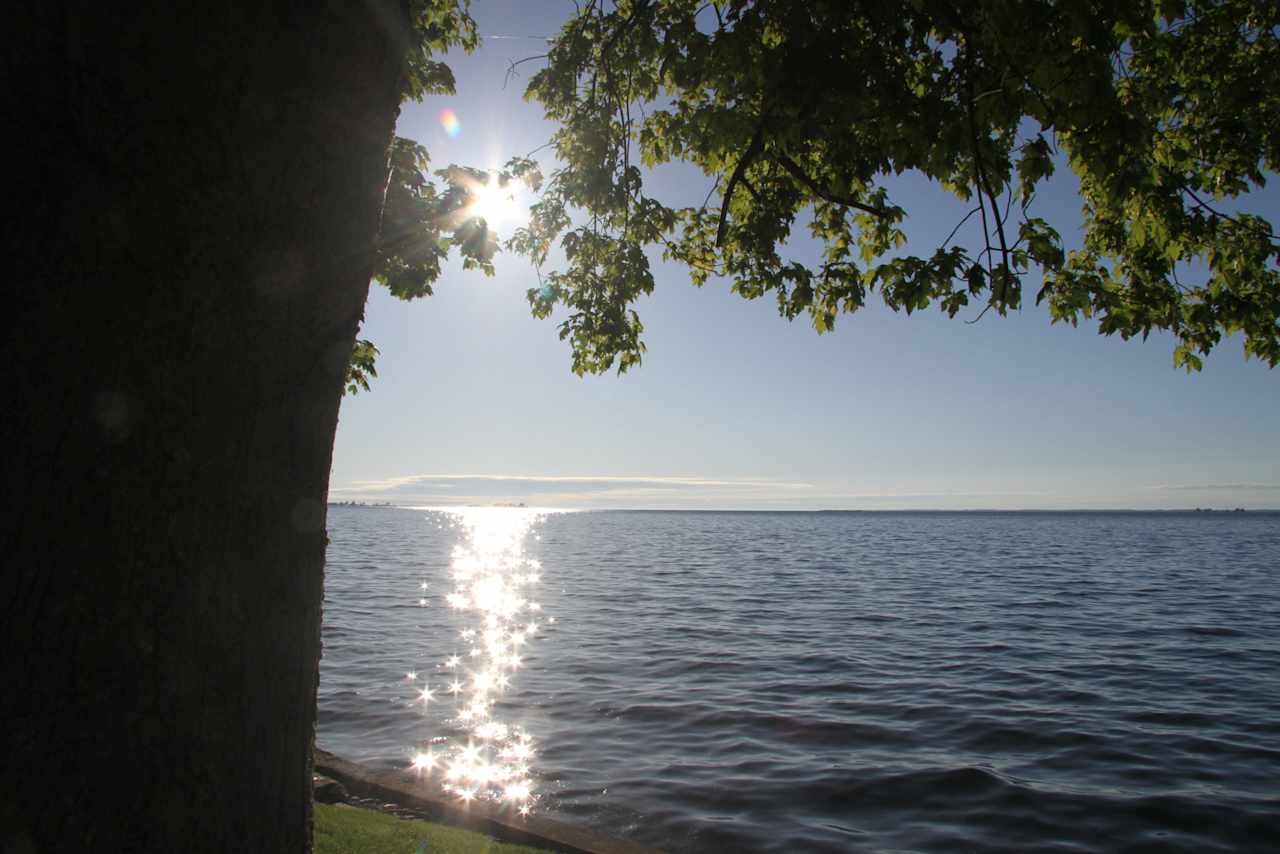 Willows On The Lake Campground