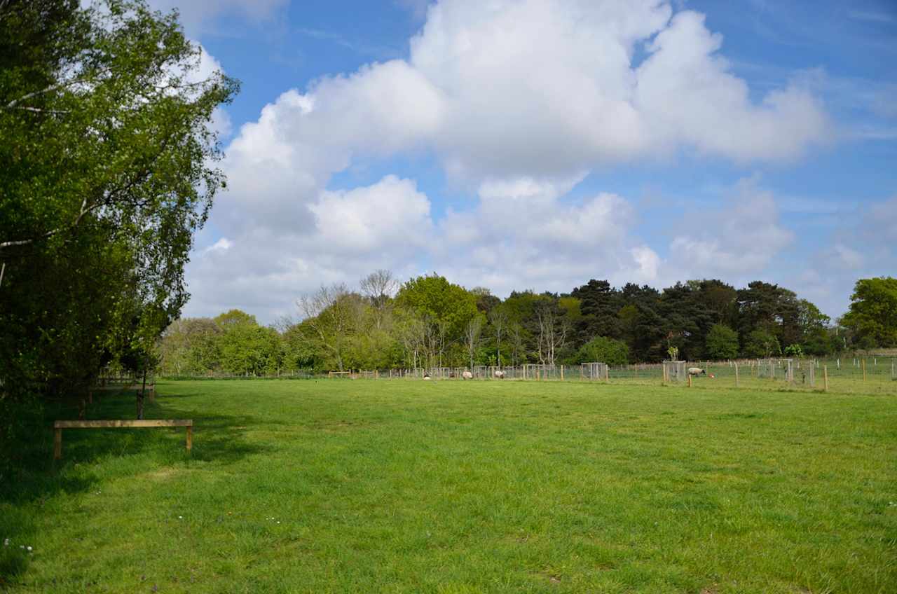 Shottisham Campsite & Smallholding