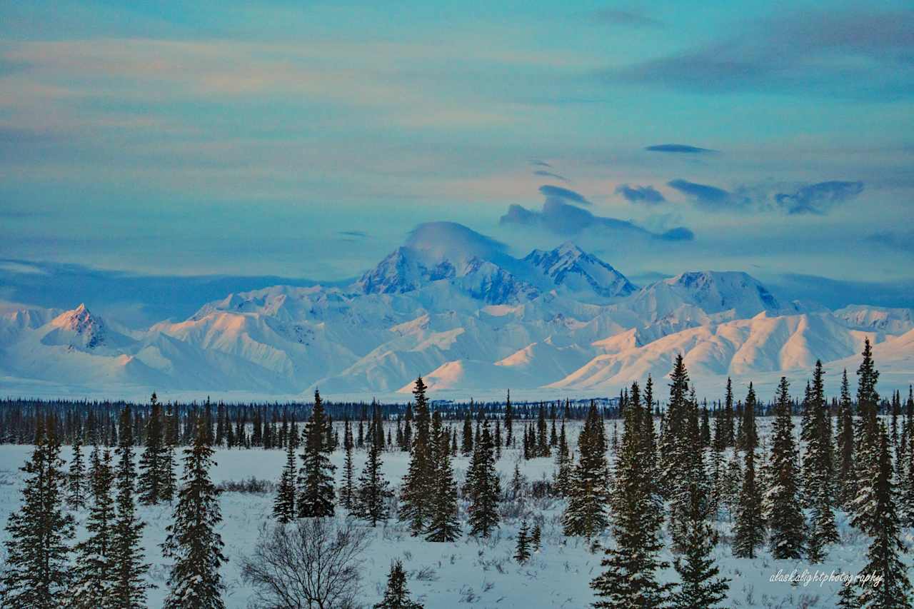 View of Denali from the cabin.  We have guests from all over the world come to enjoy a view of the highest mountain in North America!