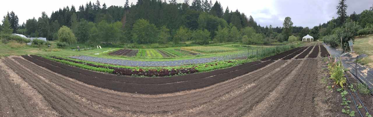 Duck Creek Farm