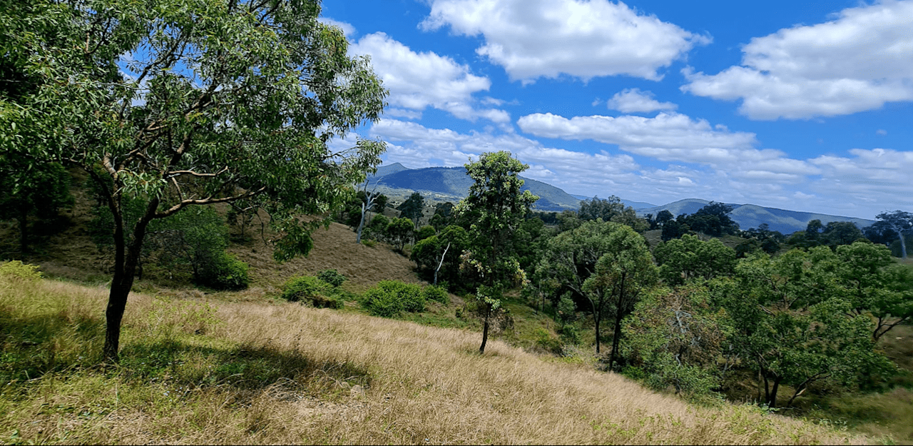 Mountain View - Mount Perry Farm