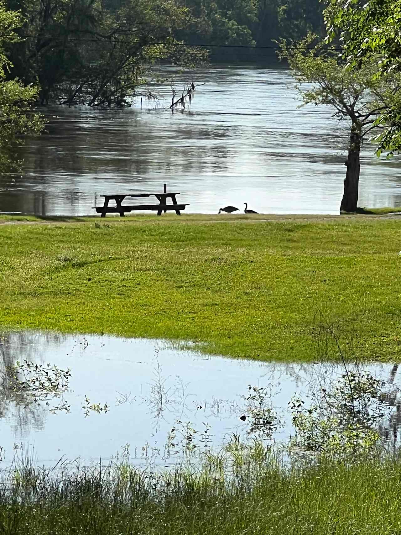 Ebenezer Fish Camp