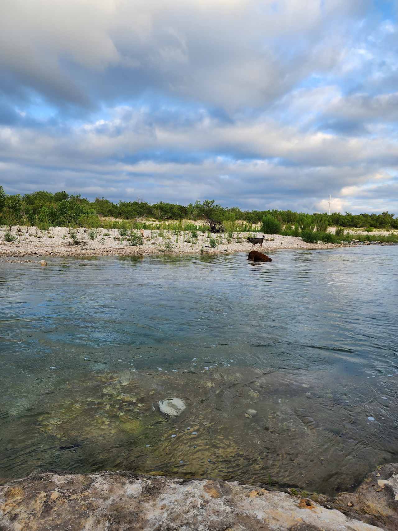 The Labyrinth, A Nueces River Oasis