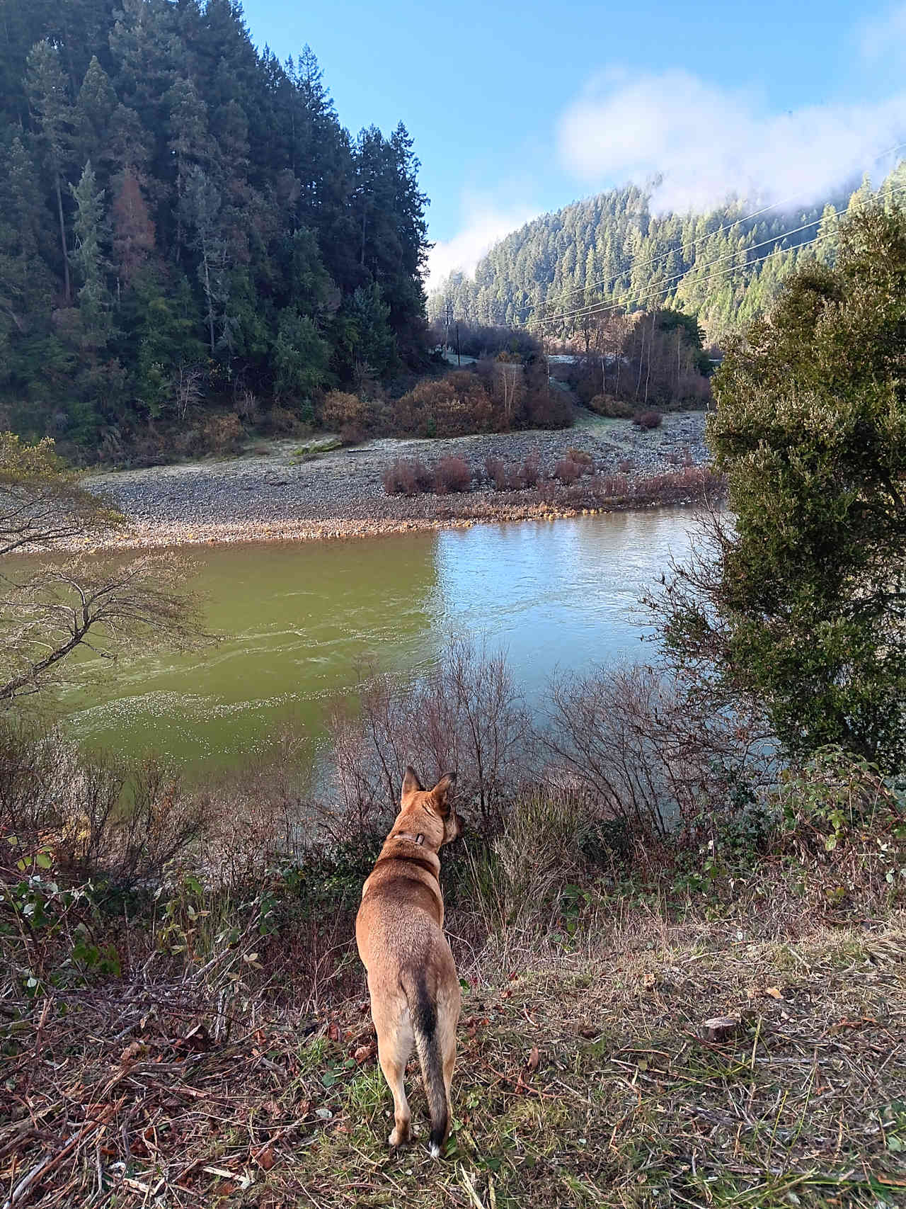 Klamath River Village