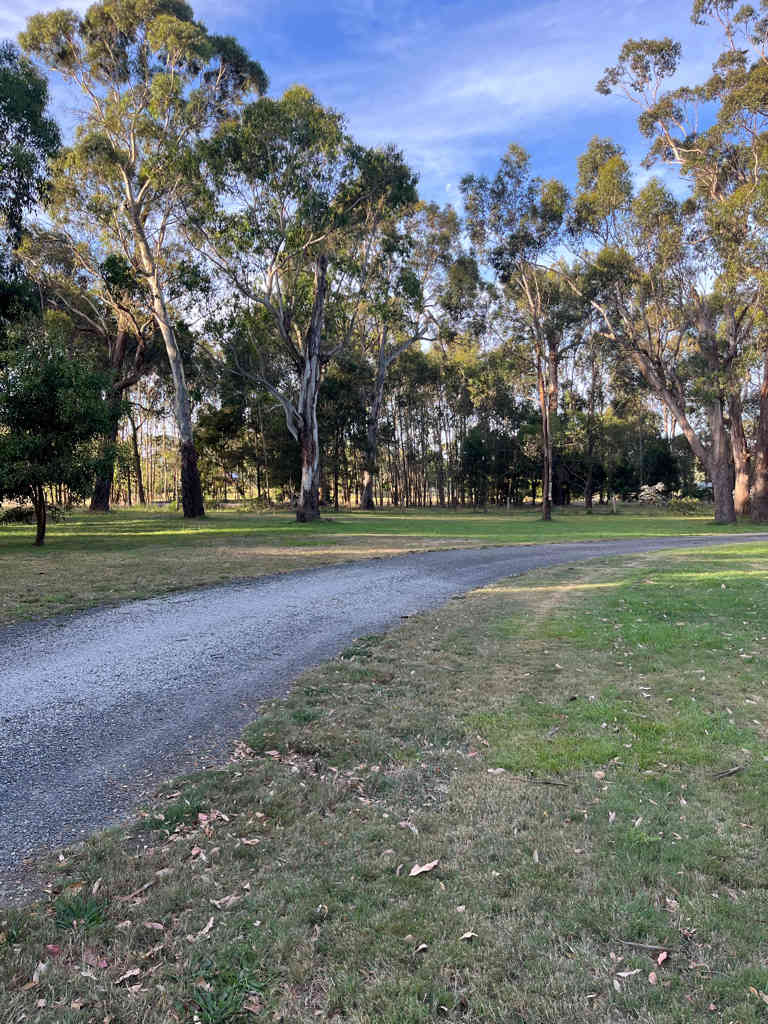 A Wooded Sanctuary