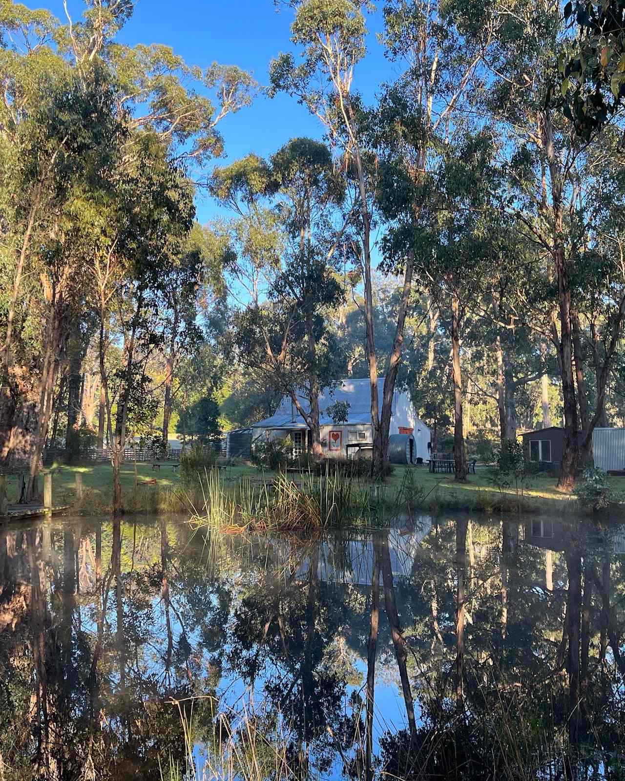 A Wooded Sanctuary