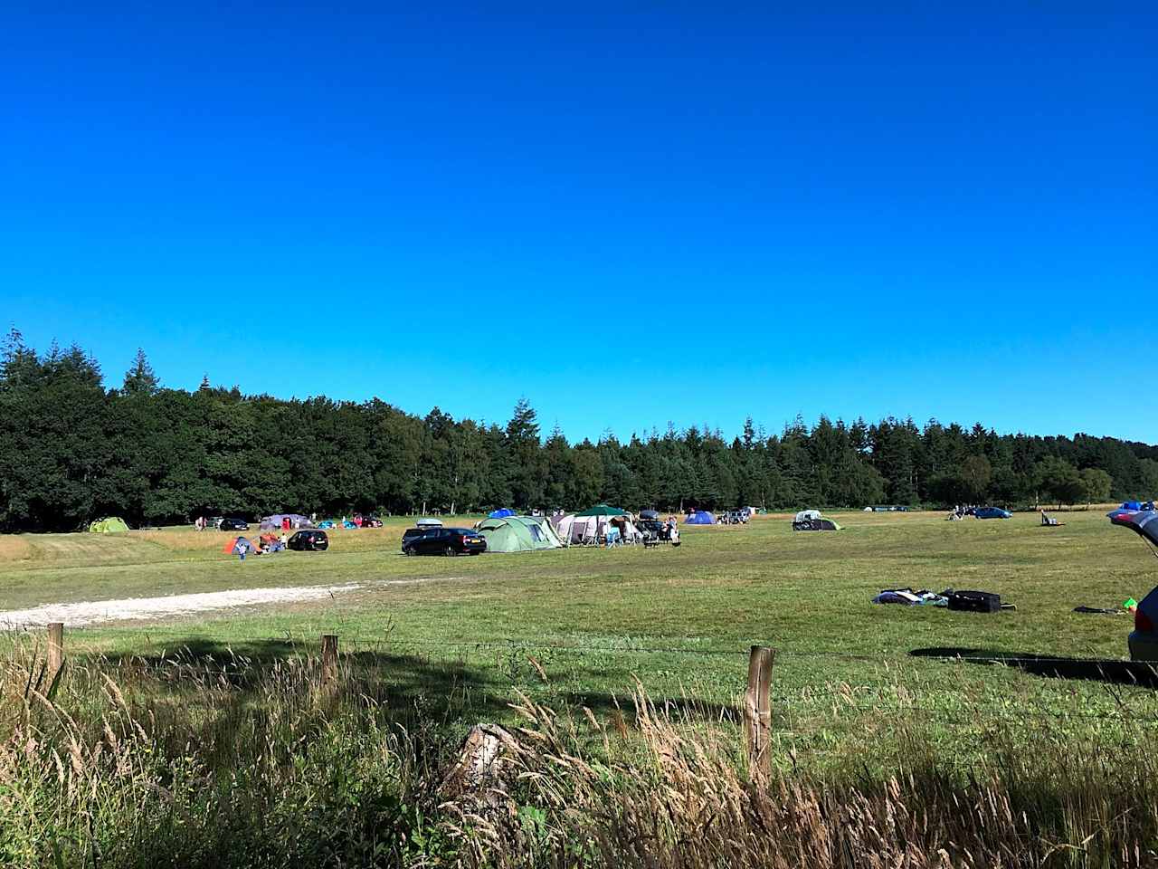 Primrose Fields Campsite