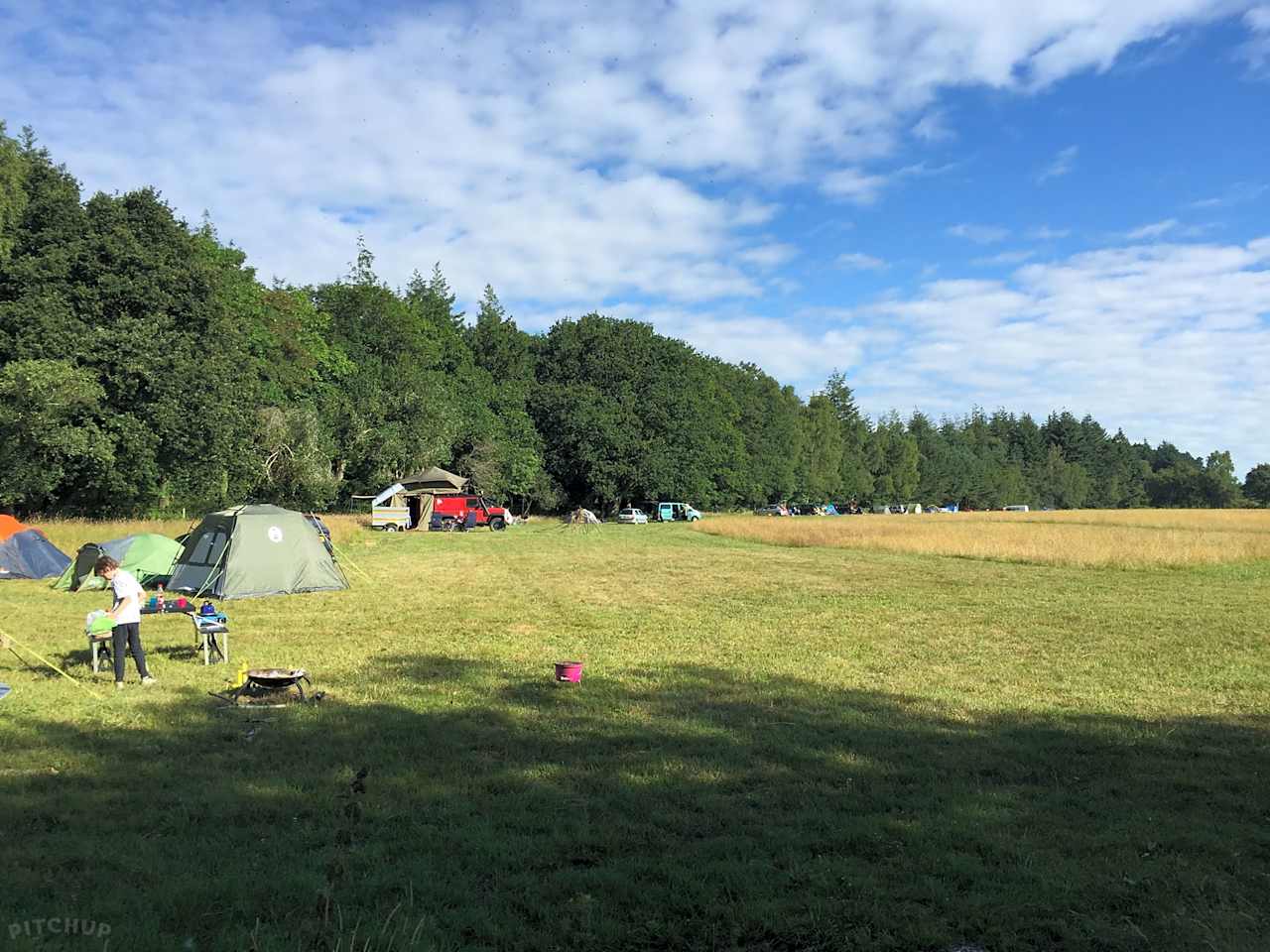 Primrose Fields Campsite