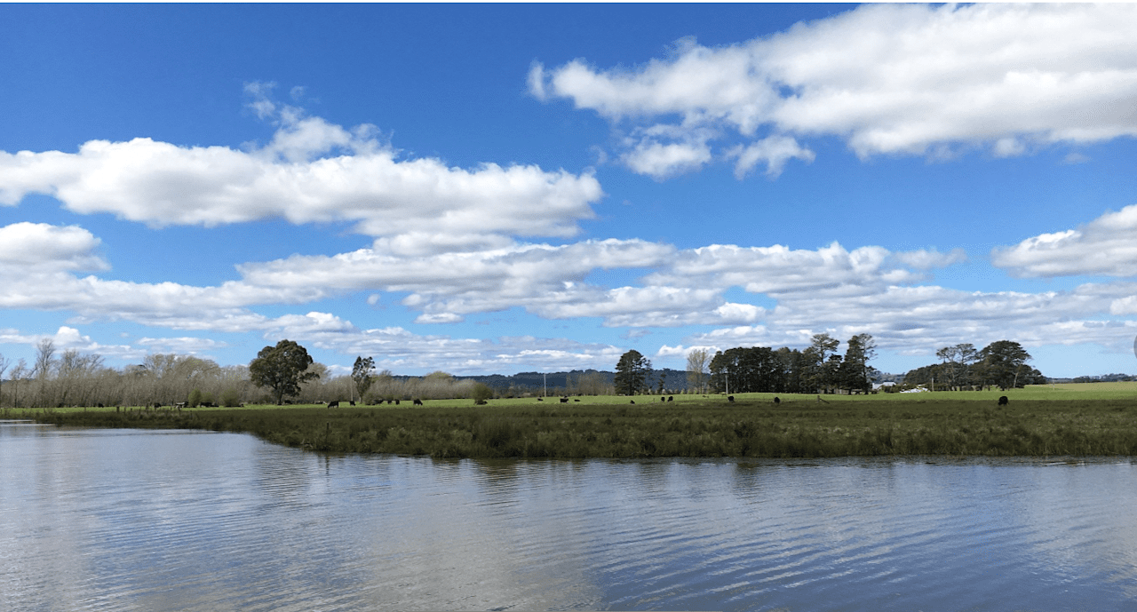 Wings of the Carribee