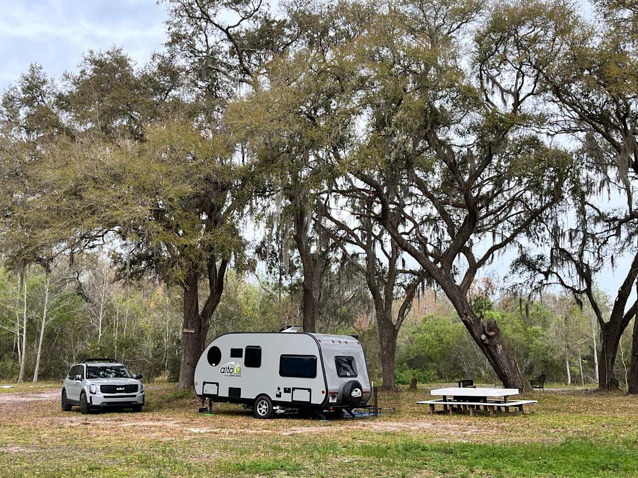 Myrtle Oaks