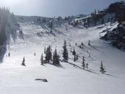 Monarch Ski and Bike Cabin