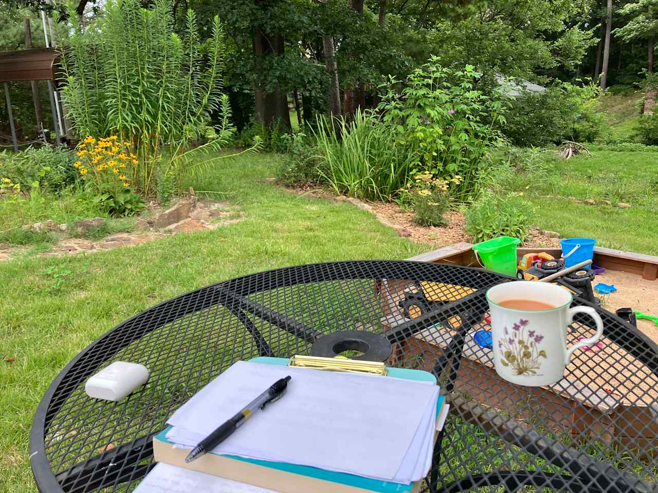 North facing, late summer when garden is in bloom
