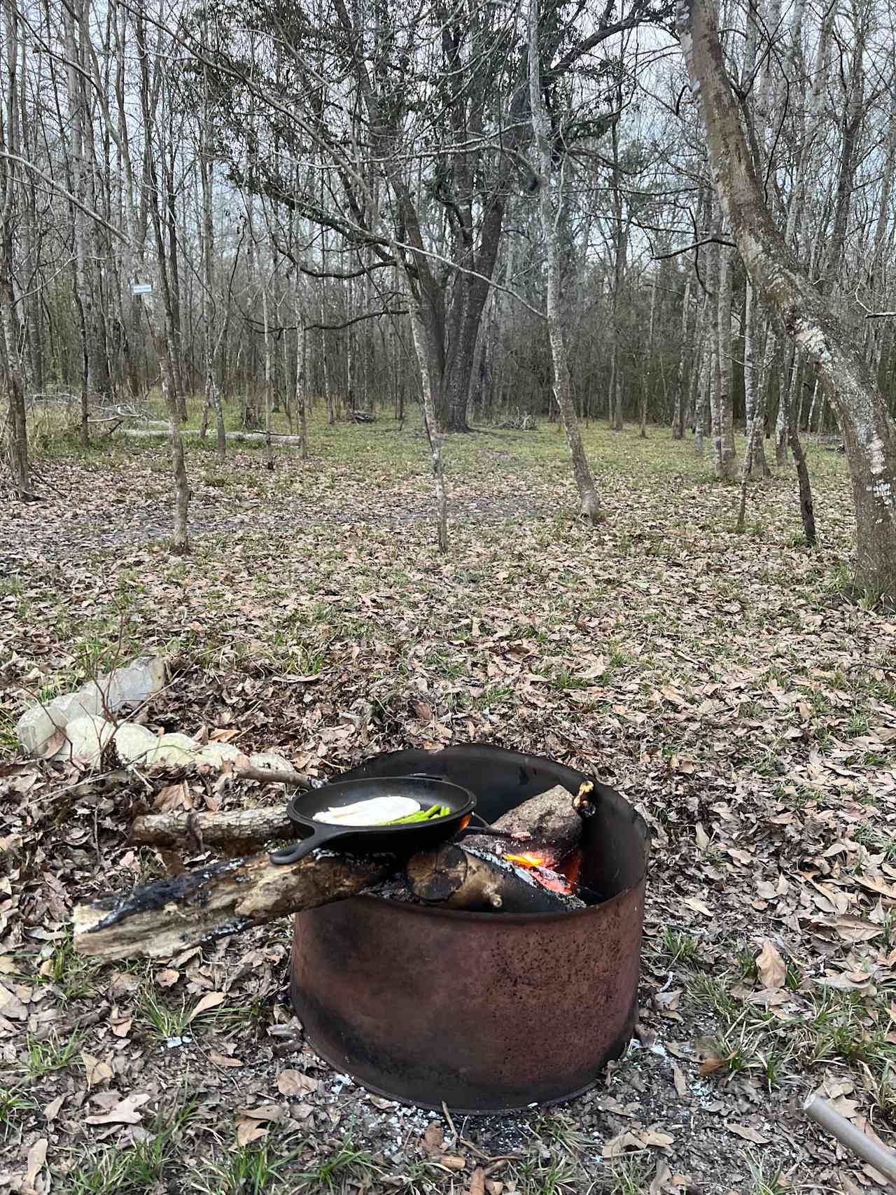 Ligneous Countryside Tent Camping